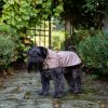 Impermeabile e cappottino di velluto di cotone e lino indossato in esterno da cane Schnauzer