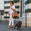 guinzagli fashion per cani bulldog francese a Firenze
