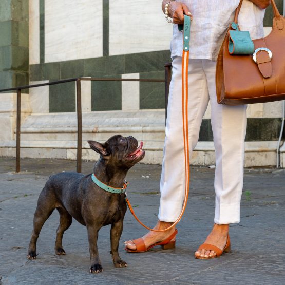 Dog leash and poop bag Istinto Collection made in Italy - Italy Dog Leashes  suppliers & manufacturers