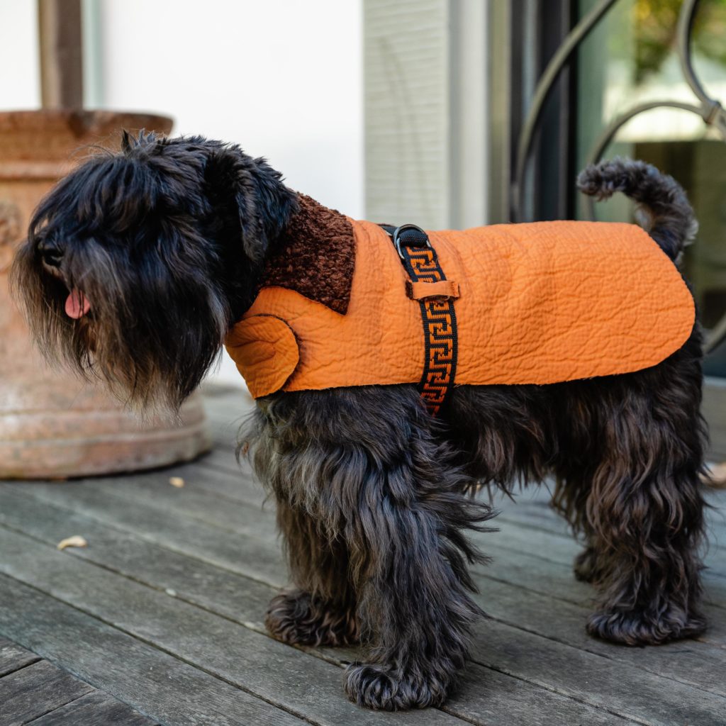 Top quality designer dog coats bespoke fixed sizes reversible made in italy