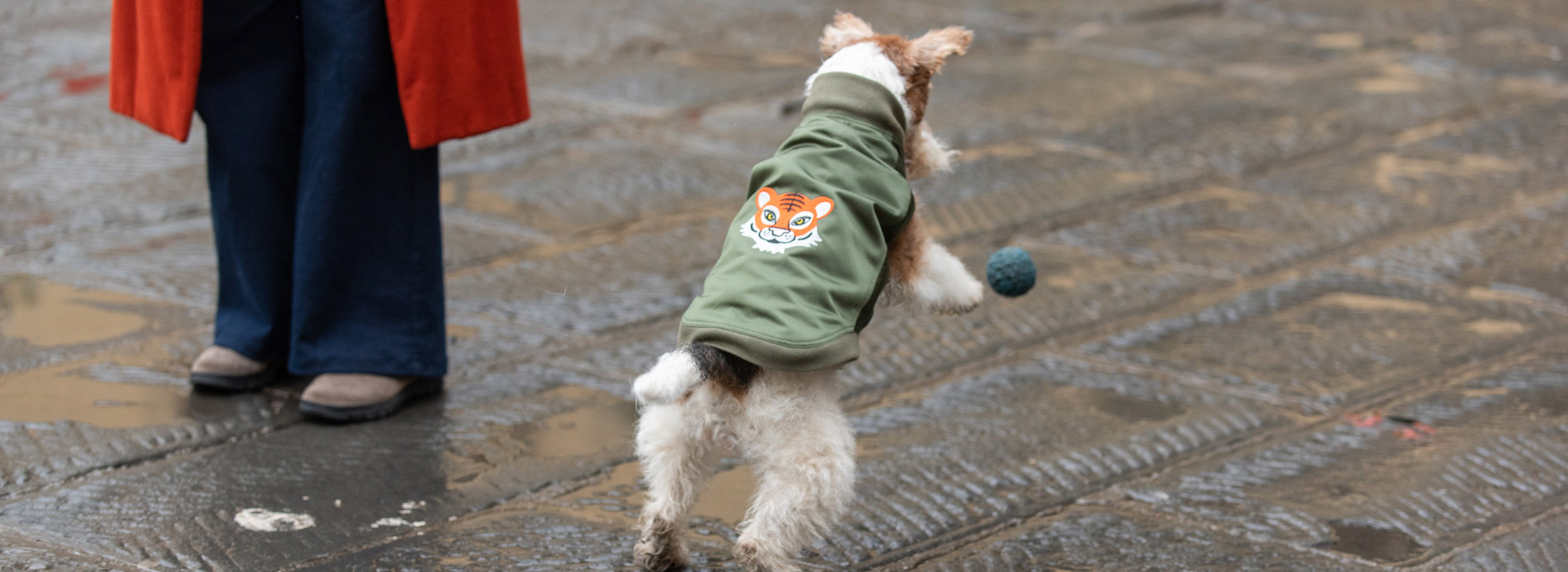 EmmaFirenze  coats for dogs