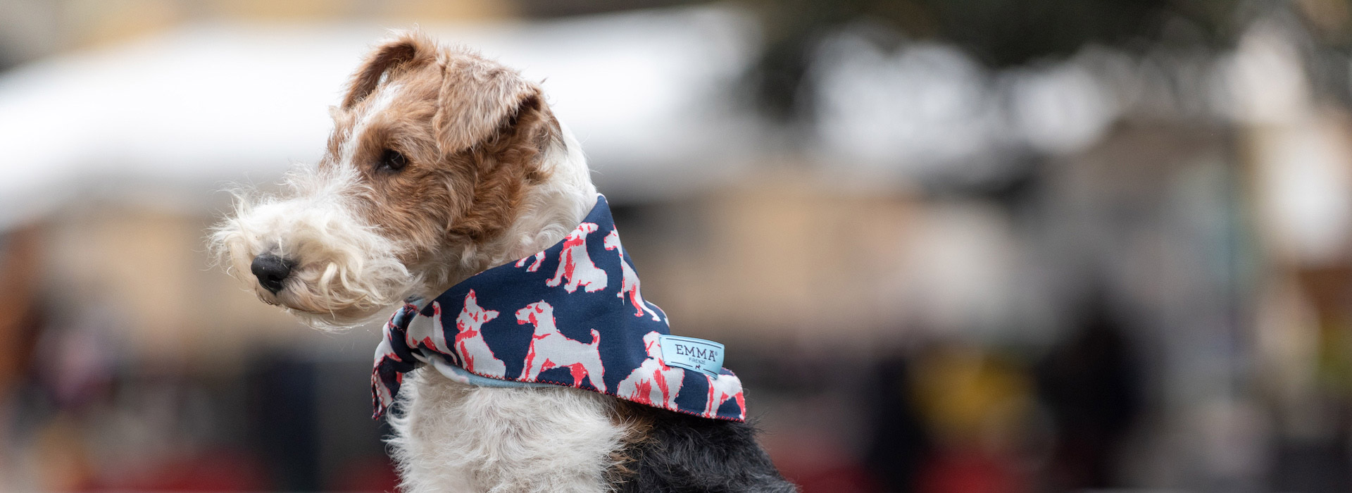 EmmaFirenze foulard per cani